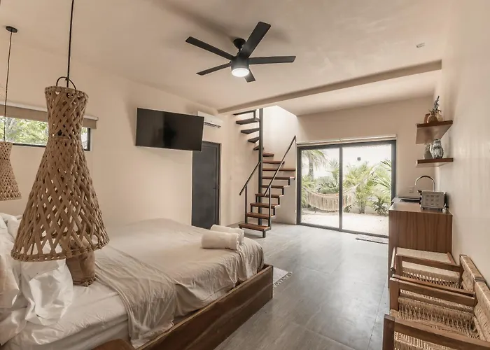 New Aura Jungle Getaway